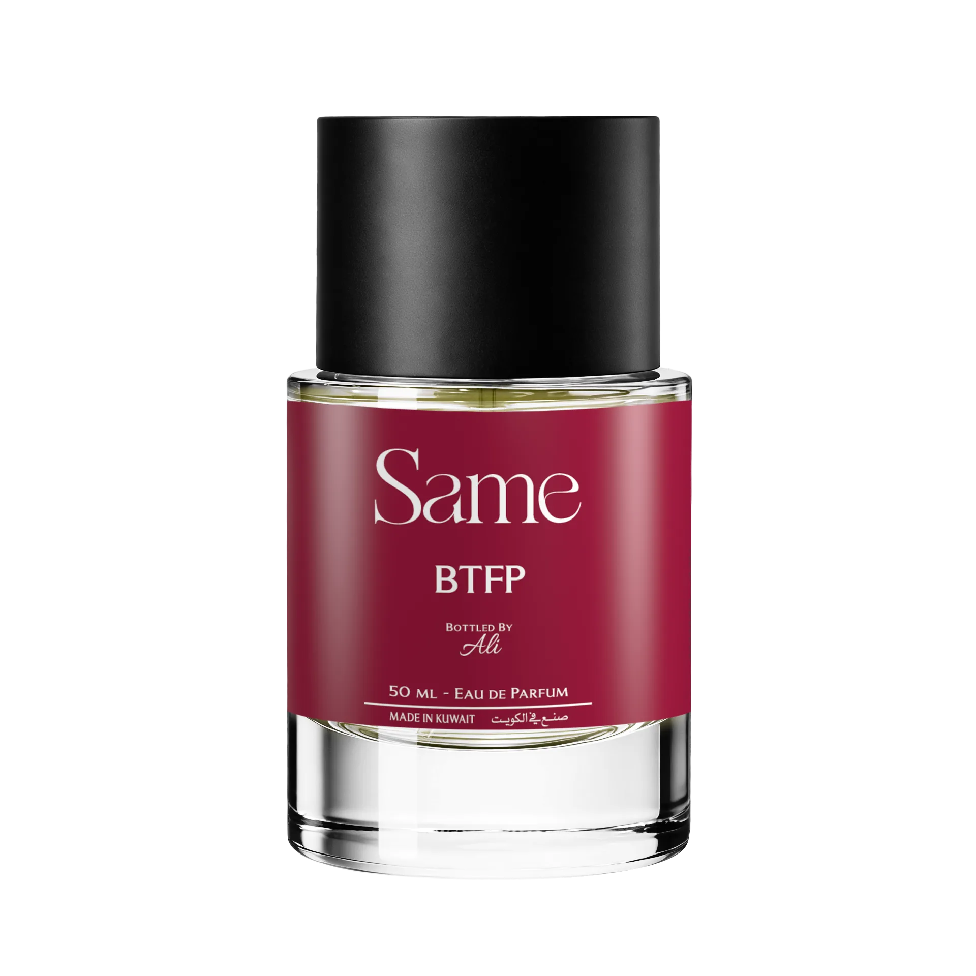 BTFP - الصورة 3